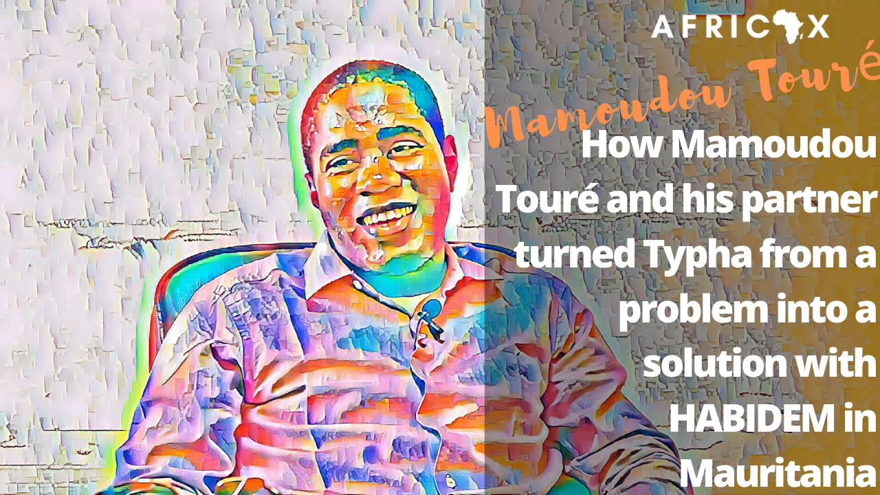 Read more about the article How Mamoudou Touré turned Typha from a Problem into a Solution with HABIDEM in Mauritania