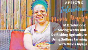 Read more about the article M.E. Solutions: Saving Water and De-Risking Agriculture Using Soilless Farming with Mevis Aiyeju